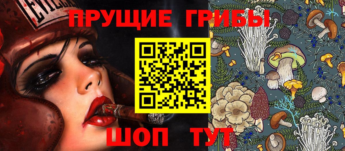 Белая Калитва  Псилоцибиновые грибы Psilocybe  Вход с VPN  Галлюциногенные грибы мицелий 